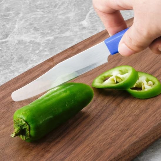 lame lisse de l'eplucheur legume 