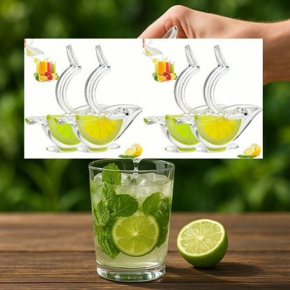 presse agrume citropress 4 pièces