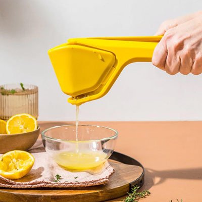 presse citron manuel extracteur robuste
