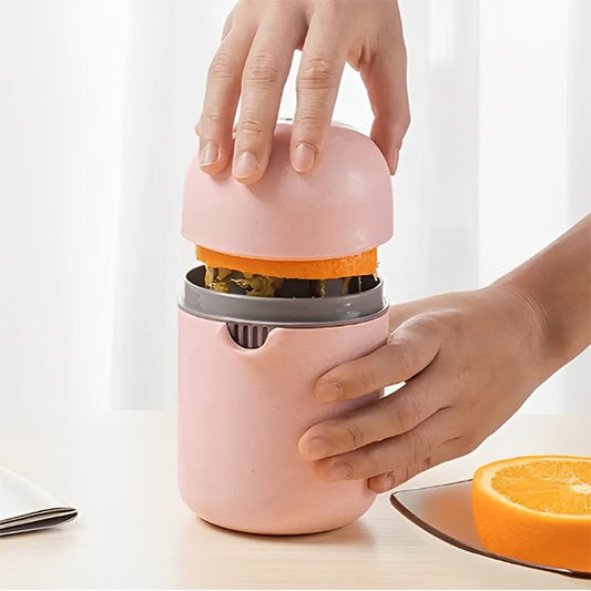 presse fruits simple et efficace